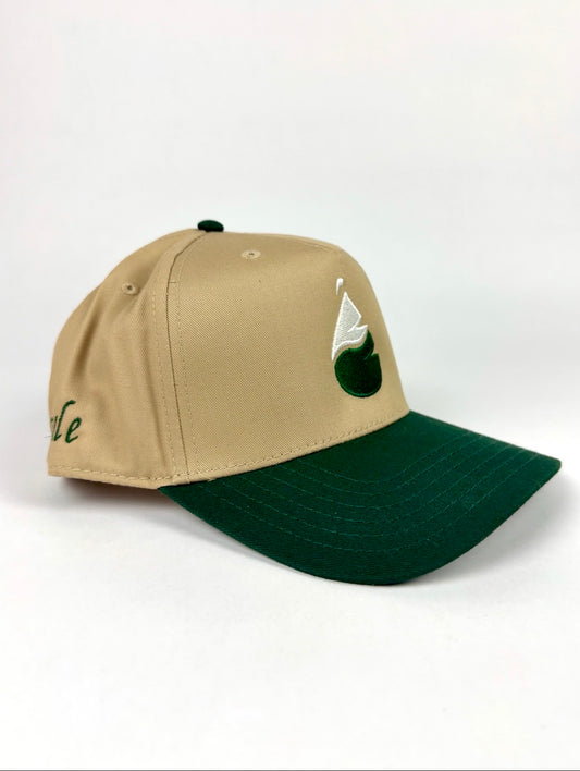 Lifestyle Snapback